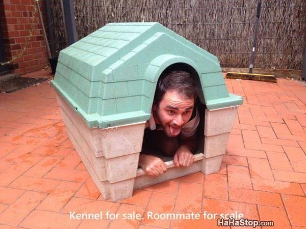 Kennel For Sale