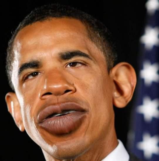 Obama Funny Picture