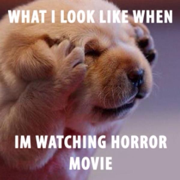 Horror movies.