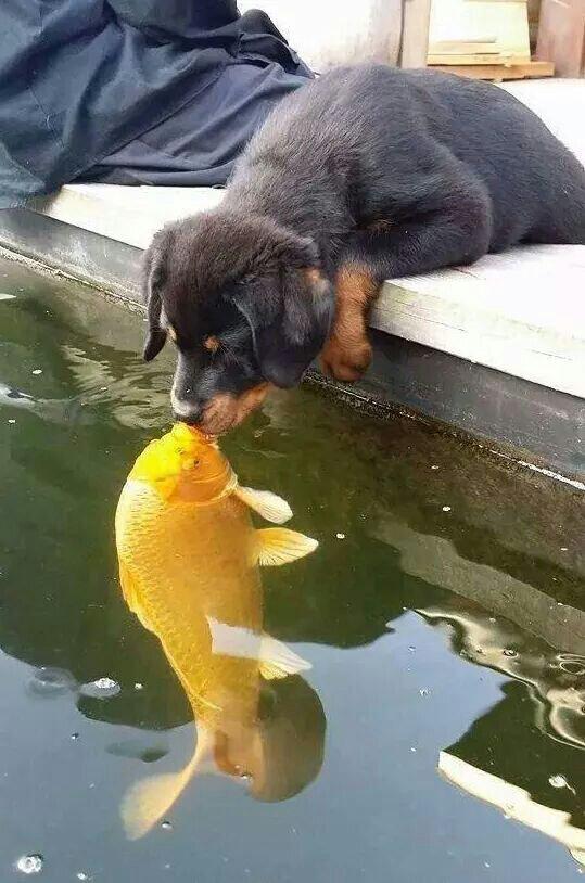 The best kiss ever...