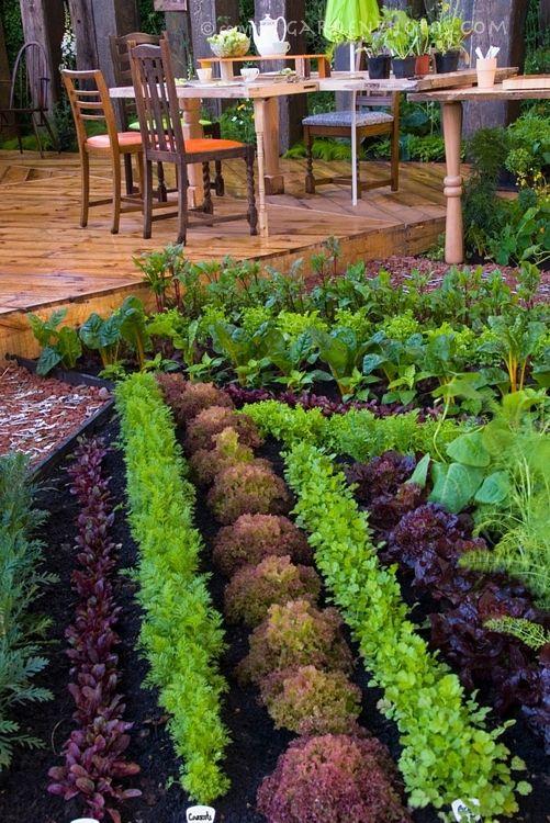 vegetable garden new ides