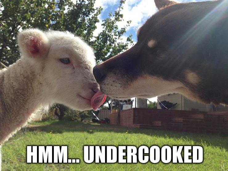 Undercooked heheheh