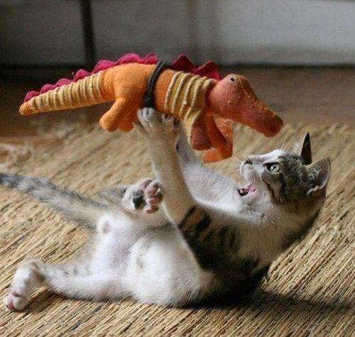 dinosaur attack!