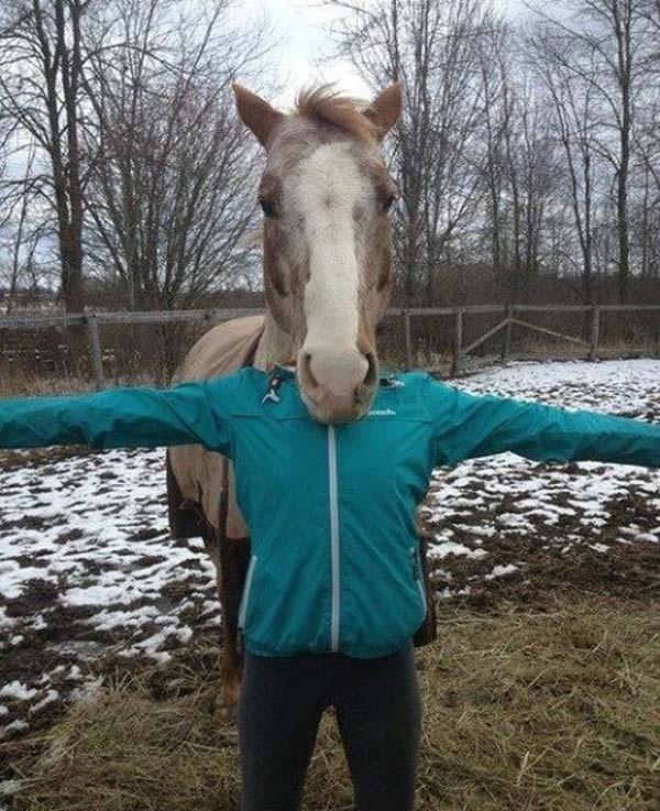Random Collection Of Funny Photos