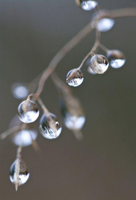 Amazing droplets