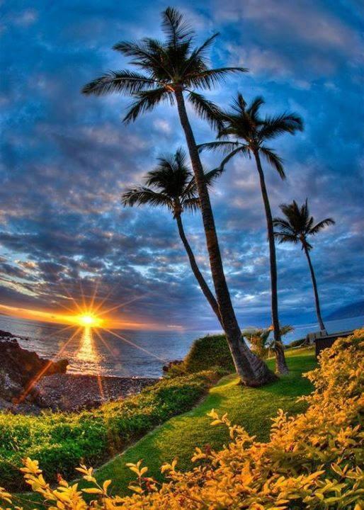 Beautiful Sunset, Hawaii