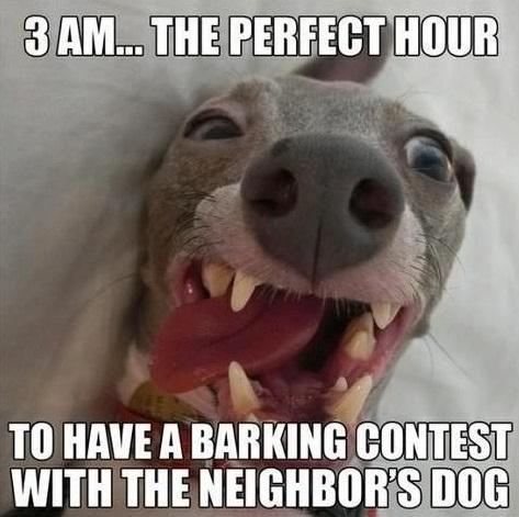 funny picture dog barkctime