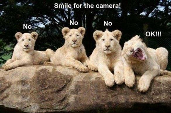 Smile For The Camera