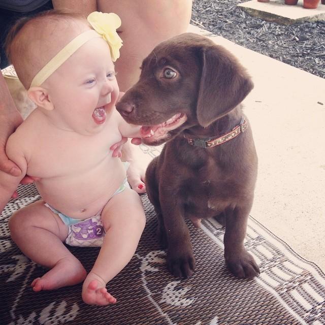 My best friend's baby met her first puppy