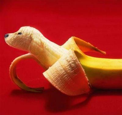bananas dog