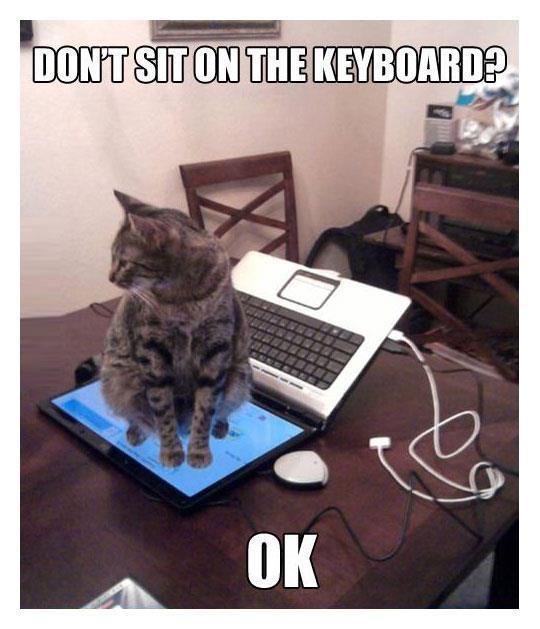 Don't sit on the keyboard