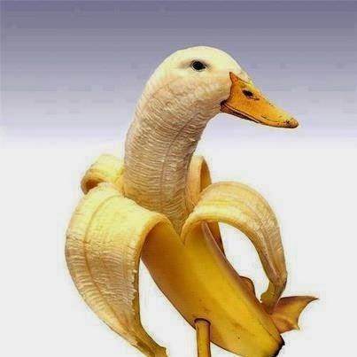 Banana duck.!!