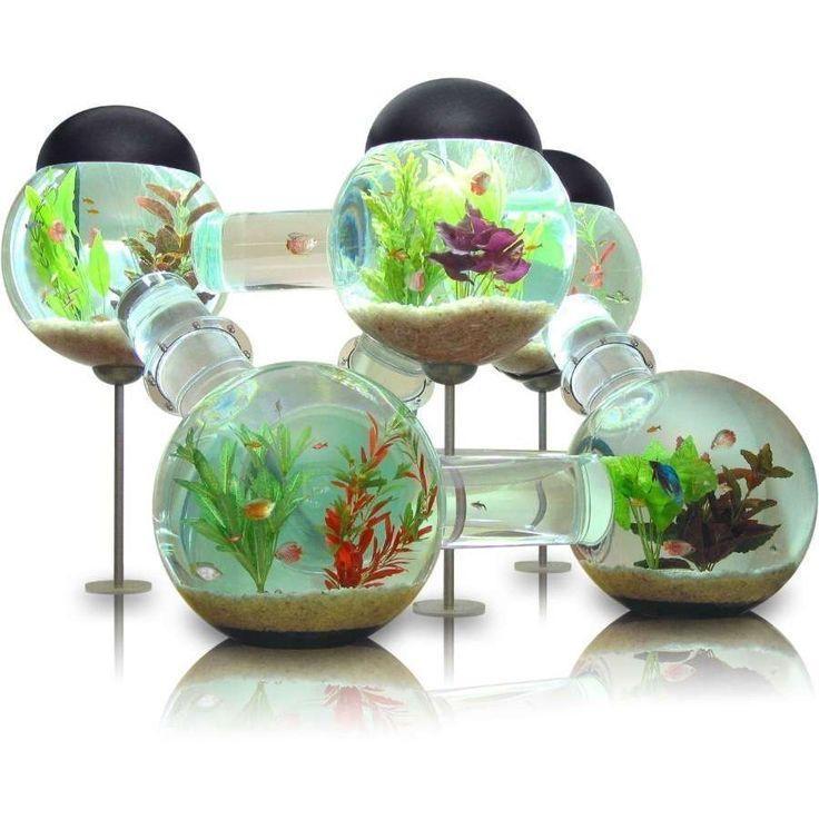 wow.. this makes me want a fish, just to have the cool fish house