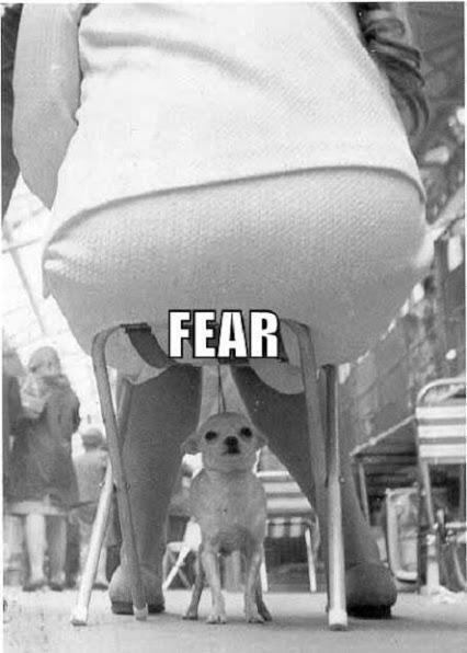 FEAR