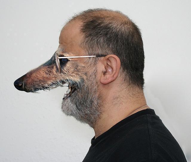 dogface by Nad