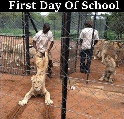 First Day of school