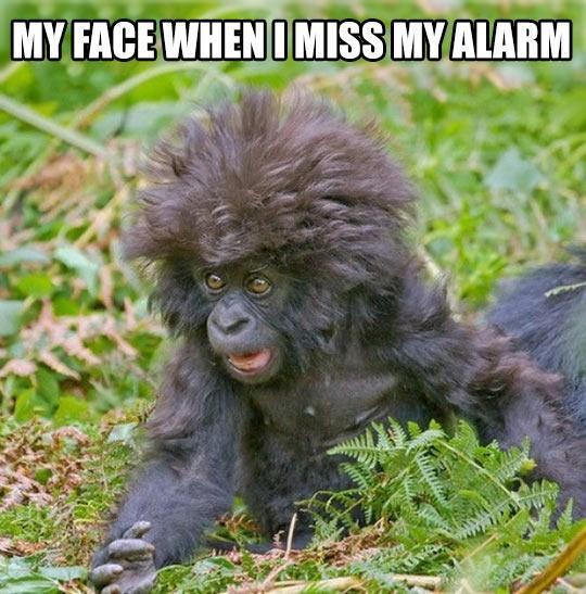 My face When i misss Alarm