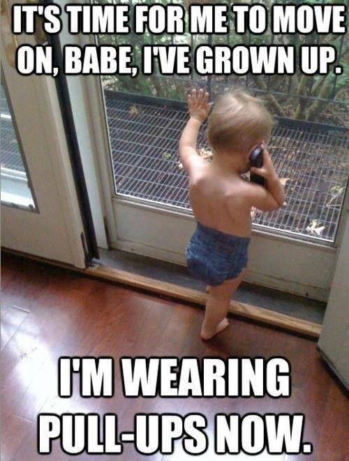 the best humour quotes and hilarious sayings
