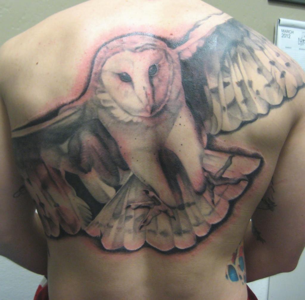 Barn Owl Tattoos