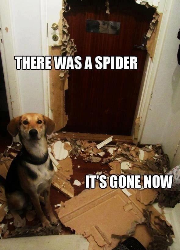 There was a spider. LOL!