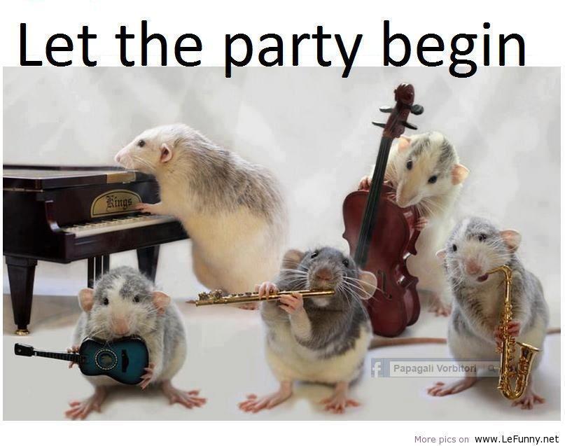 Funny Party of Squirals