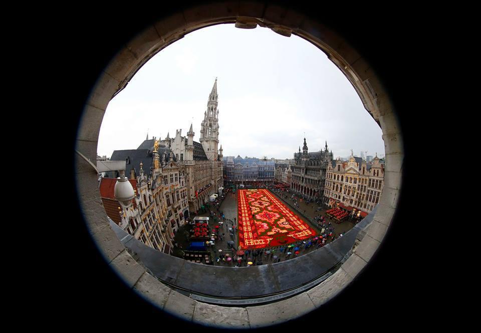 Giant flower carpet at Brussel Turkey