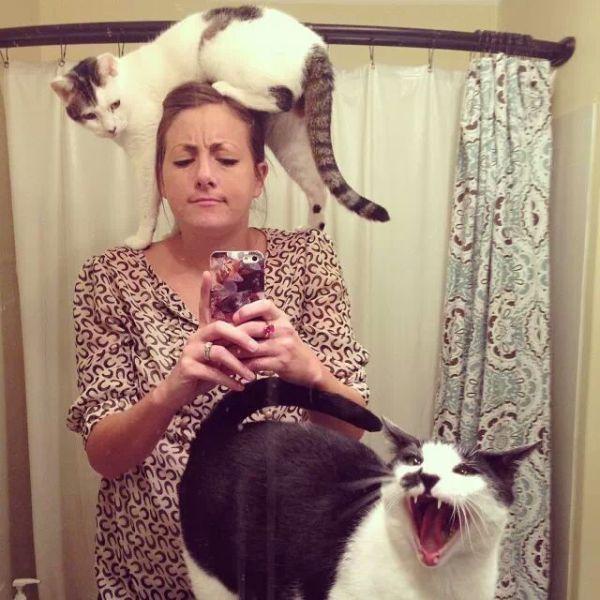 Selfie expert level Cat lady