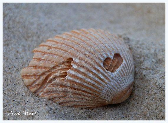 Hearts in Nature Photography