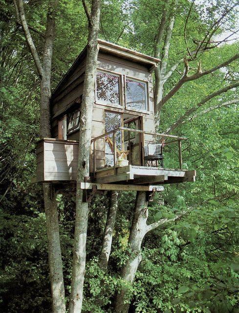 Tiny Treehouse Cabin with a Balcony