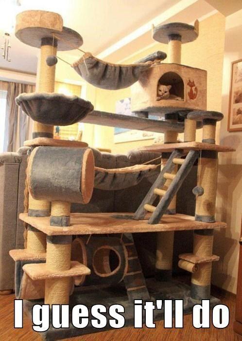 Kitty Dream House