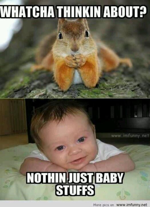 Cute baby and squirrel funuy