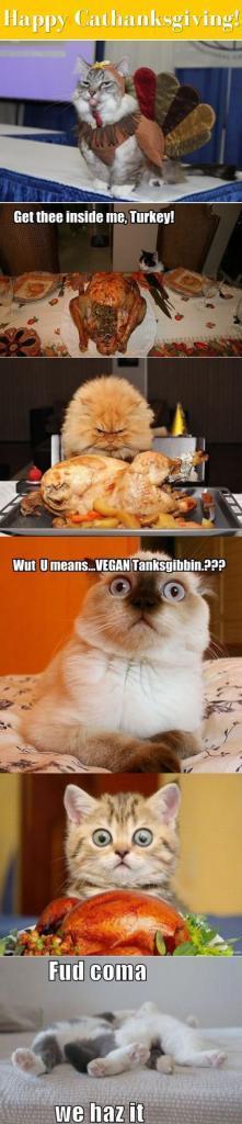 Have a happy Cathanksgiving!!---Funny cats in Thanksgiving!