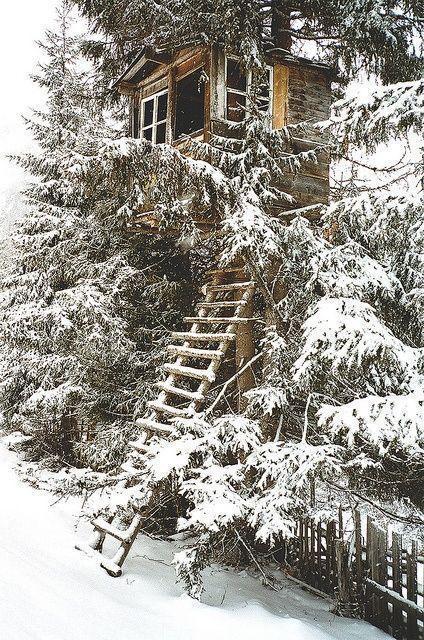 Snow tree house