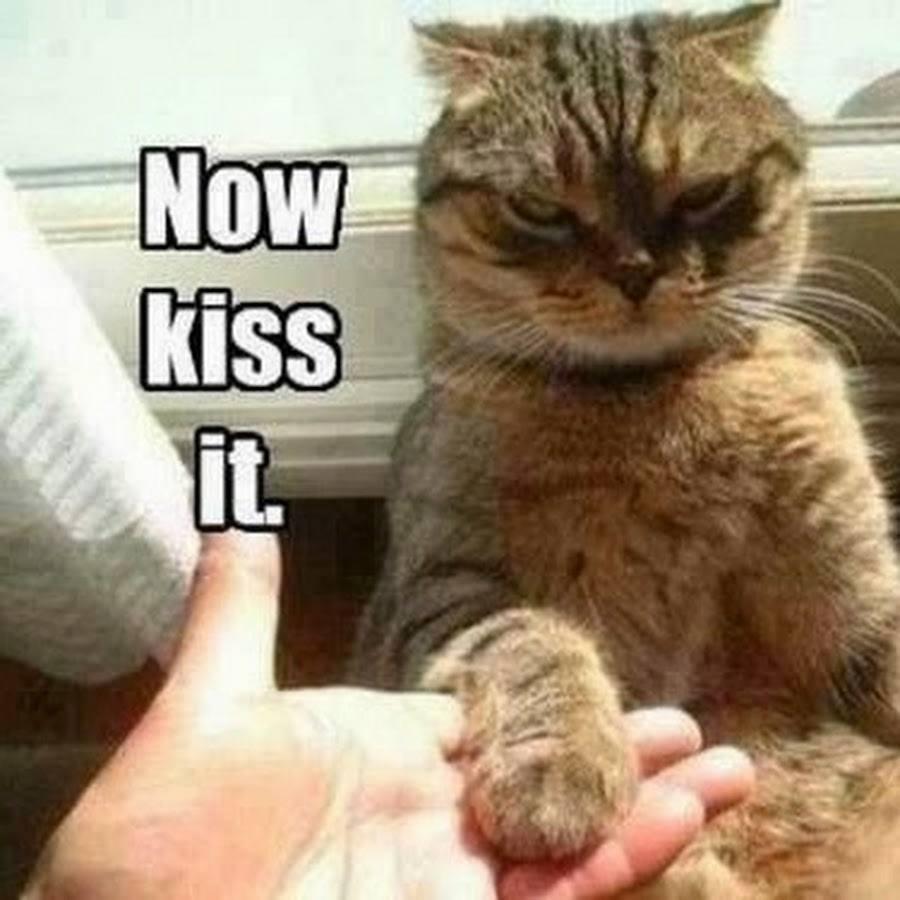 Now Kiss it...