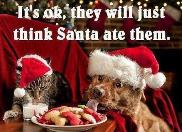 santa-ate-the-cookies