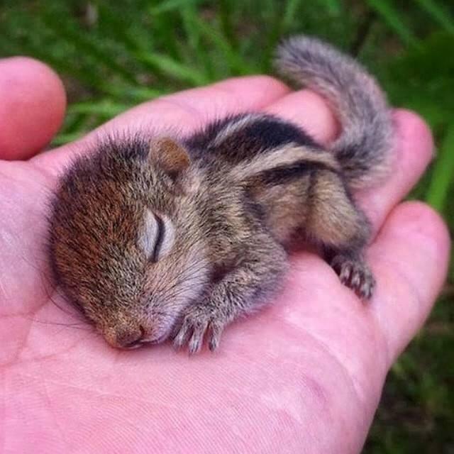awww! so cute photo awww! so cute photo