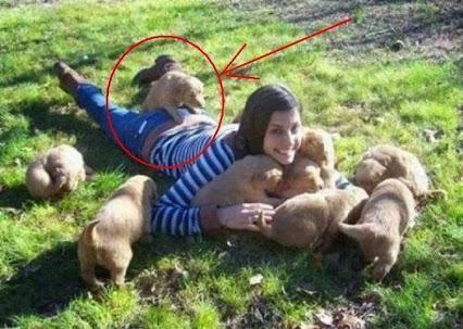 Having day out with puppies 