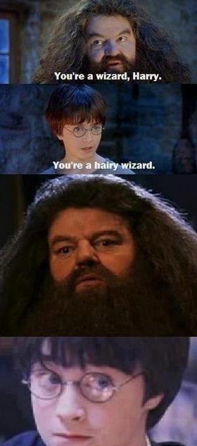 One of my favorite Harry Potter Memes ever