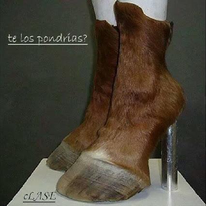 Lady gaga new boots ï»¿