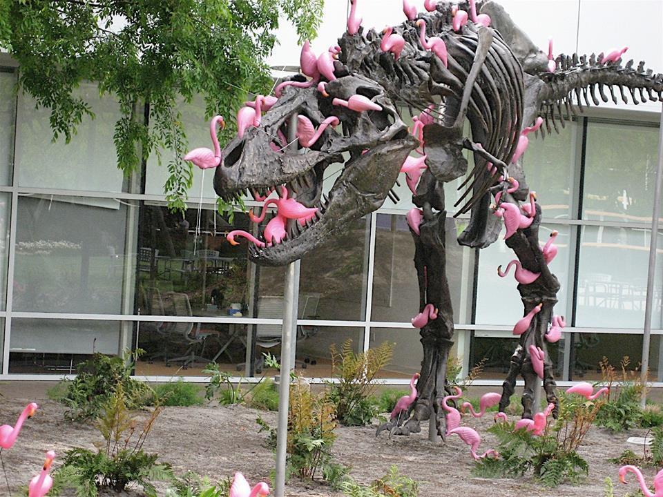 A flock of lawn flamingos can pick a T-rex clean in under 90 seconds