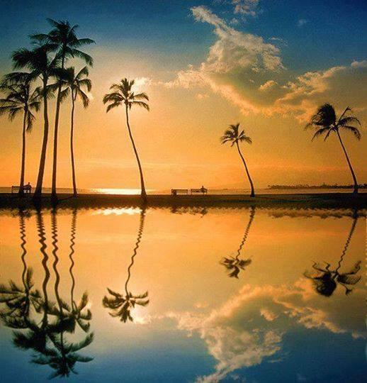 Lagoon, Honolulu, Hawaii... dreamlike!