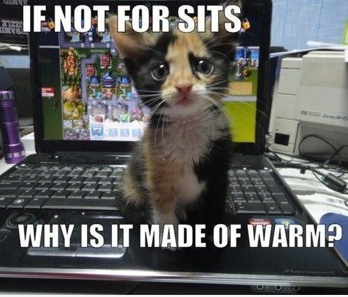 why is it made of warm..