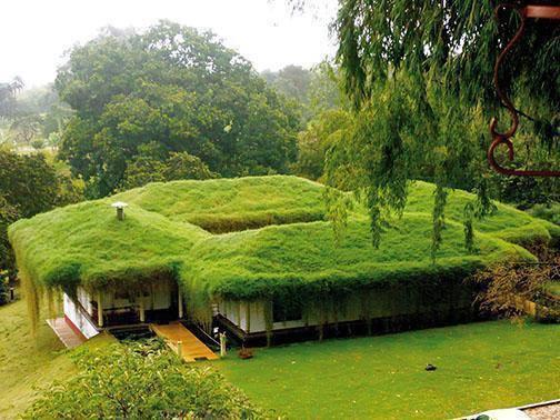 green house Amazing Design with Grass
