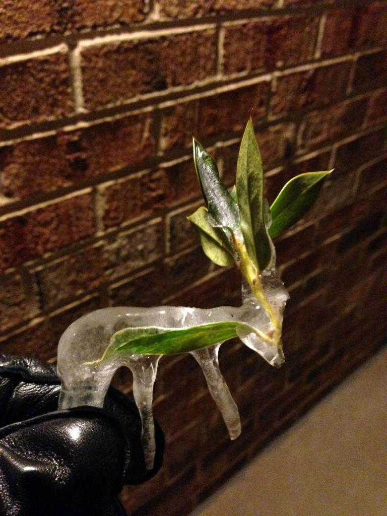 3rAQcje.jpgA deer shaped icicle I found after a snowstorm in January
