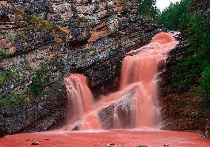 Cameron Falls, Alberta, Canada... amazing!