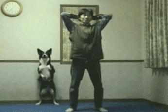 oh nice Dog and a crazy man haha