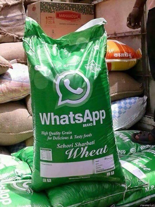 Whatsapp  Wheat