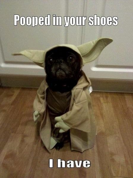 AAAAAAAha ha ha ha ha ha ha!!! This is AWESOME!!!