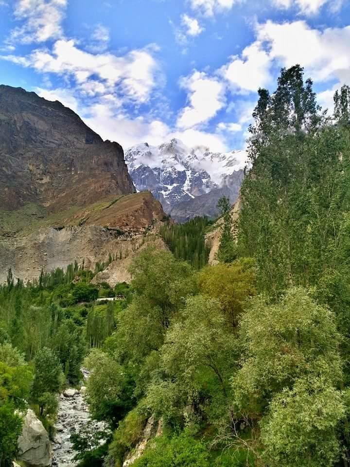 Lady Finger in Gilgit Baltistan Pakistan
