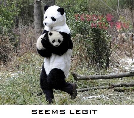 My secret plan for getting my own baby panda